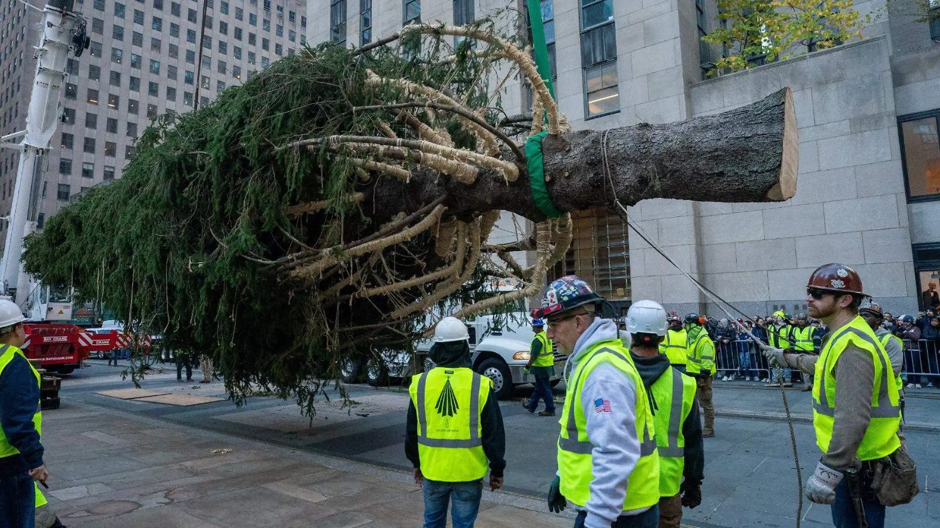 árbol de navidad en NY